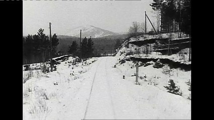 Le libraire, extrait