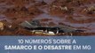 10 números sobre a Samarco e o desastre em Mariana, MG