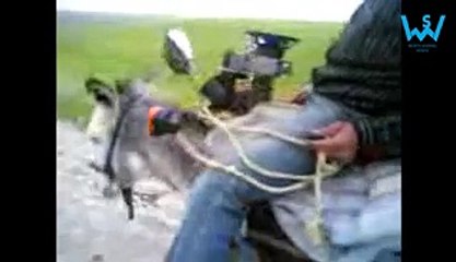 Pakistani funny videos compilation part 2 - Dailymotion