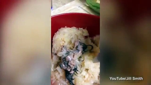 Elle ouvre une boîte de choucroute et fait une macabre découverte