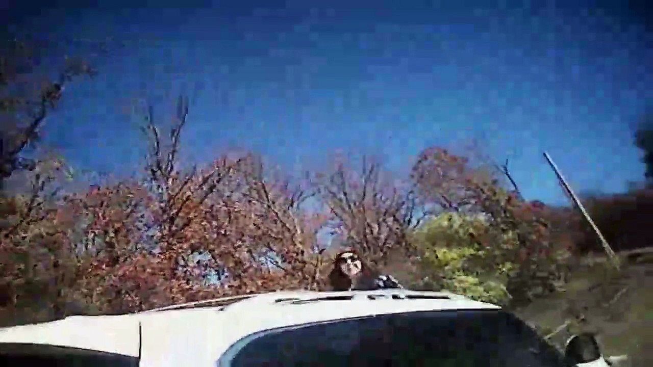 Une femme droguée fonce sur une voiture de police