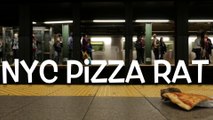 Un faux rat télécommandé traîne une pizza à New York!! Belle blague