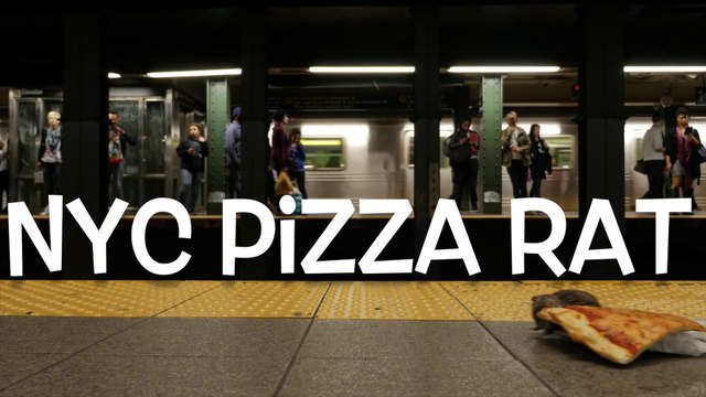 Un faux rat télécommandé traîne une pizza à New York!! Belle blague