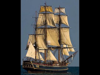 piet veerman - all that you could be