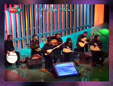 Musa EROĞLU-Harmana Serdiler Sarı Samanı (2)