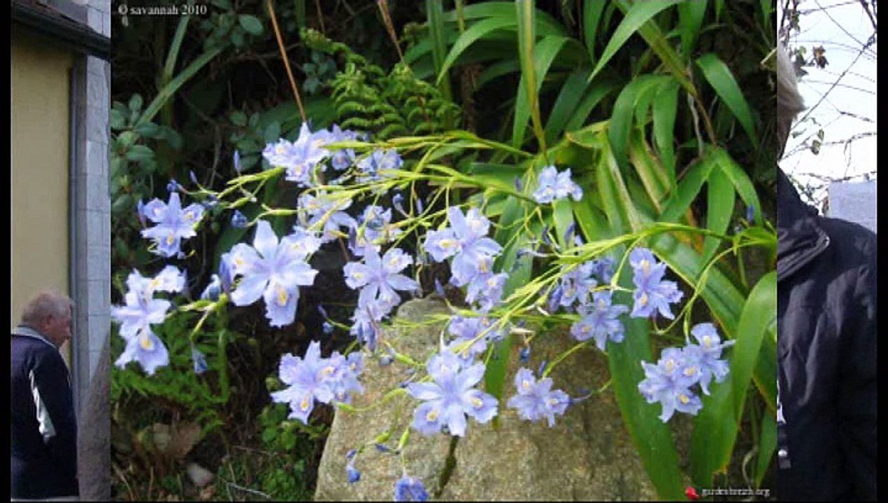 Salies-en-Transition