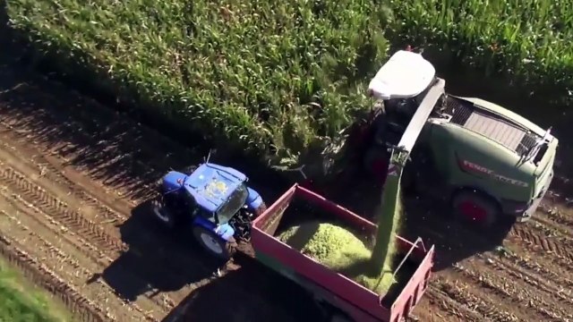 Laurent Loncle d'Advanta : Investir dans la génétique maïs fourrage pour améliorer la rentabilité de son élevage.