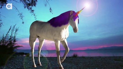 5 facts about unicorns!!! Animals World