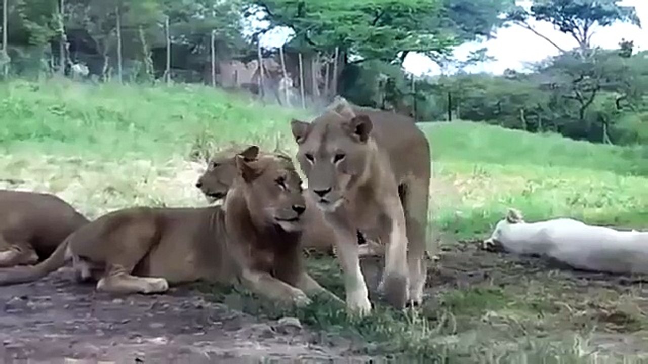 This terrible moment