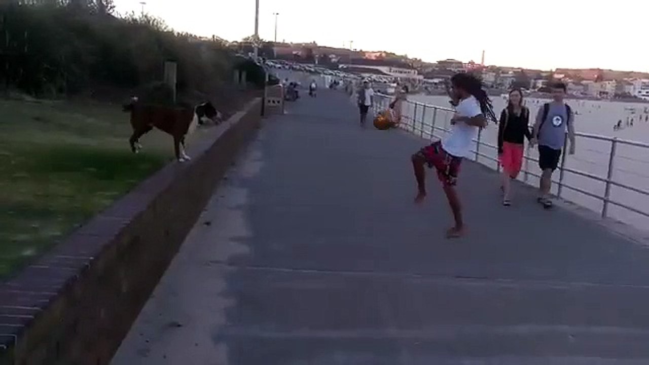 The guy with the dog playing soccer