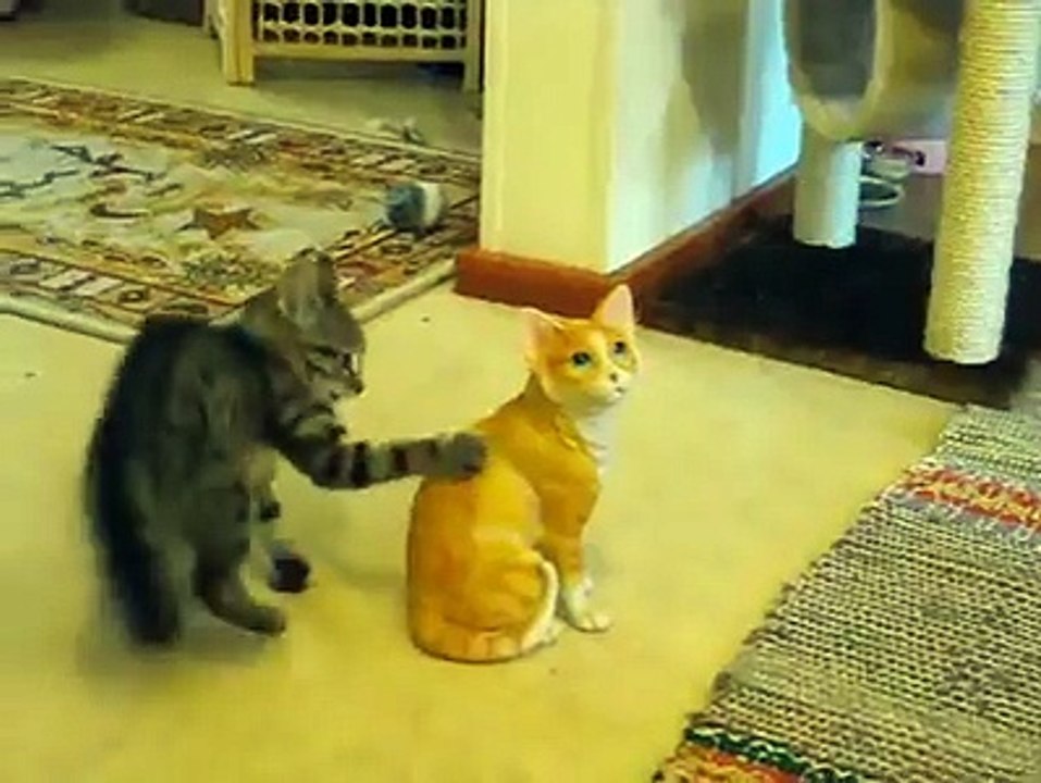 real cat play with other artificial cat such as real