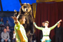 Performing Brown Bear Runs Into Audience