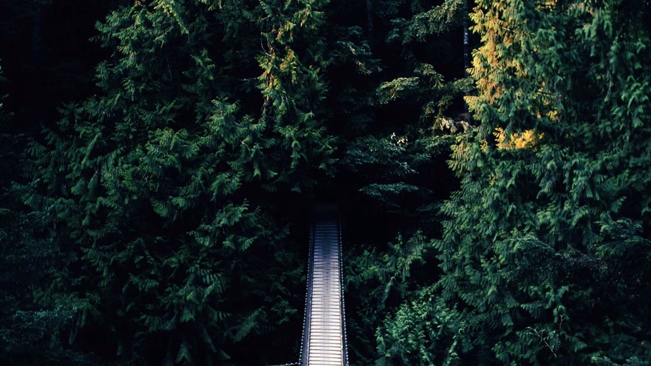 How optimistic is too optimistic in the world of entrepreneurship?