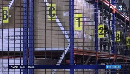 Réchauffement climatique : des centaines de milliers de graines précieusement conservées