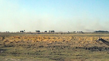 Meanwhile in Botswana