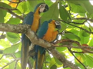 9 de noviembre de 2015 Asociatividad Puerto Boyaca