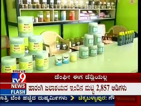 CURE DENGUE FEVER WITH PAPAYA LEAF JUICE - PENAWAR DEMAM DENGGI JUS DAUN BETIK