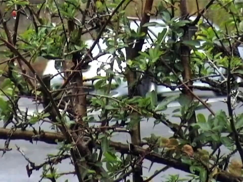 BMW M5 E60 with Eisenmann exhaust !!!!TURN UP YOUR SPEAKERS!!!