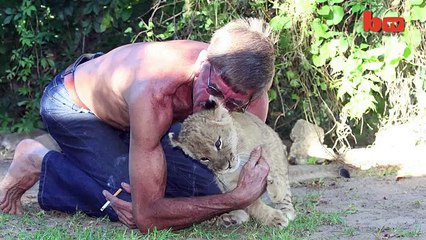 Mane Attraction Man Cuddles and Kisses Huge Pet Lion-copypasteads.com