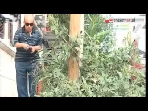 Tg Antenna Sud - Rifiuti, i baresi se ne infischiano dell'ordinanza