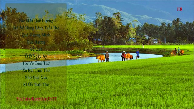 Những Ca Khúc Hát Về Quê Hương Chọn Lọc || Kí Ức Tuổi Thơ- Một Thời Để Nhớ