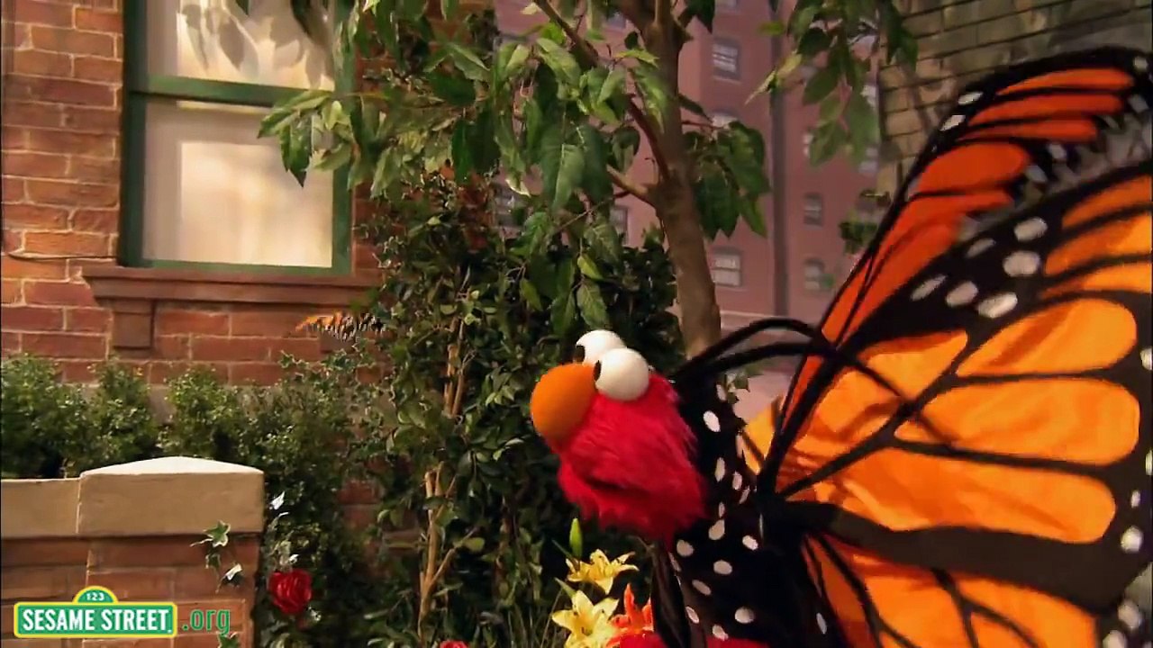 Sesame Street Song Little Butterfly Friend Dailymotion Video