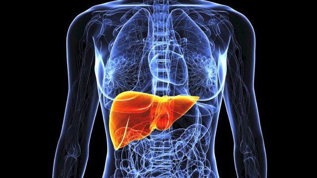 Продукты для очищения печени Полезные советы для здоровья