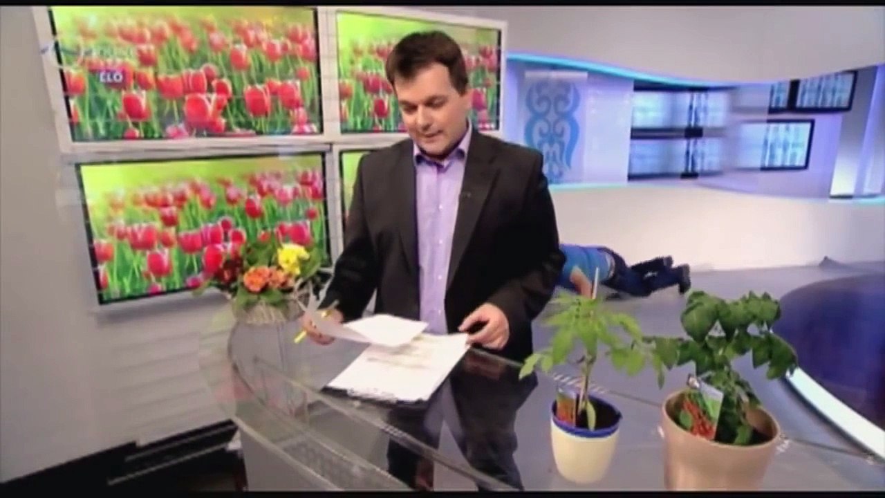 Funny Videos Try Not To Laugh Challenge Funny Pranks Funny Bloopers Funny Fails [HD, 720p