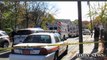 Pit Bull Kills 9-year-old Girl on Long Island