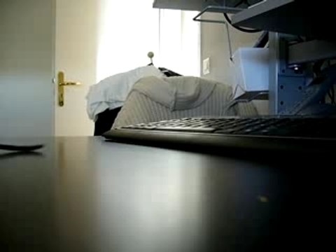 Bella Fait ses Premiers Pas !!