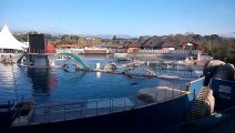 Visite du bassin des orques de Marineland, novembre 2015
