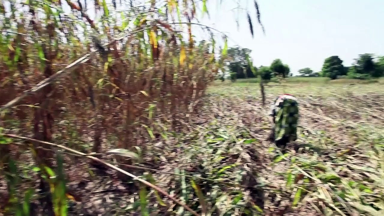 Malis Männer verlassen das Land