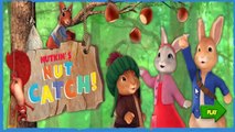 Nick JR Peter Rabbit - Nutkins Nut Catch! - Cartoon Movie Game for Kids - NEW Peter Rabbi