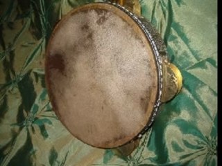 Bouarfa medahates aye aye