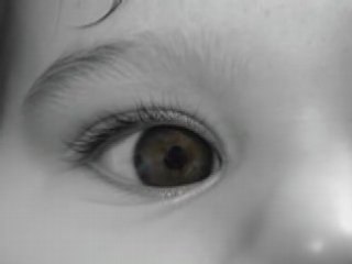 Antony and the Johnsons - Divine