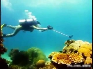 Angel on Scuba diving suit in Asian Treasures