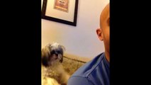 Dog Gives Owner A Back Scratch