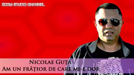 NICOLAE GUTA - AM UN FRATIOR, ZOOM STUDIO