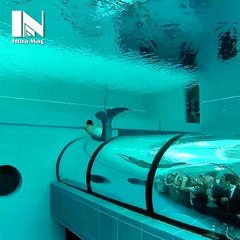 Mermaids are real rancid everyone