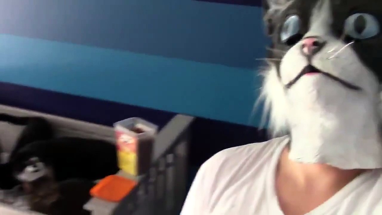 Un Homme Avec Un Masque De Chat Fait Peur A Ses Chats Video Dailymotion