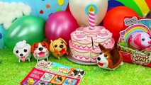 SUPER RARE Chubby Puppies Party with Surprise Toys Balloons & Cake for Dogs   Lavender Lab