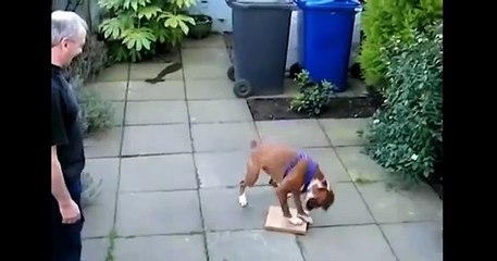 분당출장&성남출장 안마NEW【010→2165→2776】최고의출장마사지 Call걸~