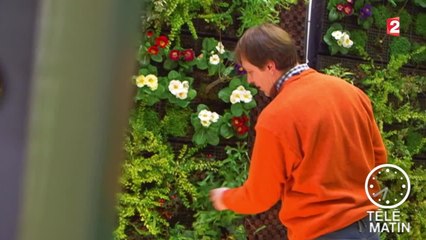 Jardin - Le mur végétal belge - 2015/11/11