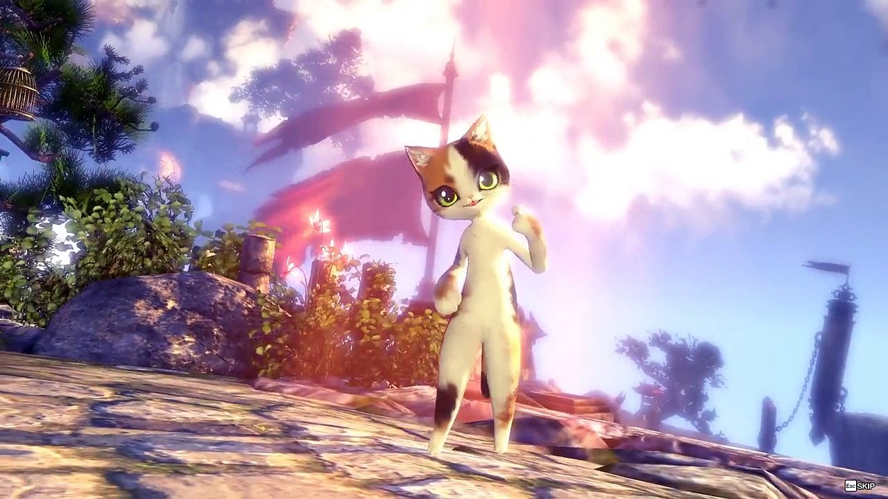 Let's play Blade&Soul  (Summoner class )