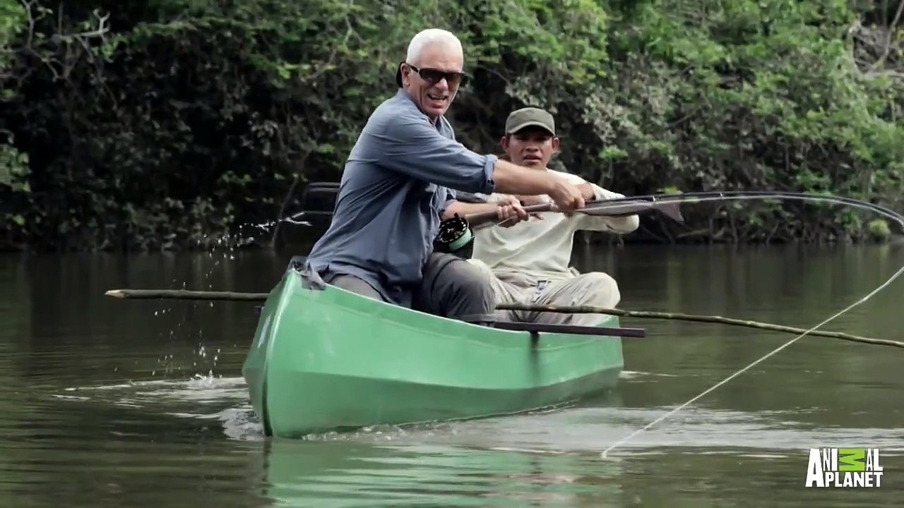 Monster Arapaima is Your 'Mermaid' of Lore _ River Monsters