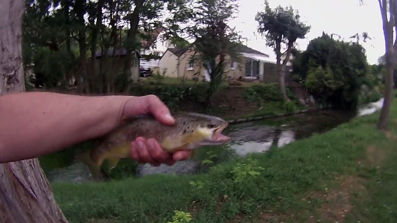 A l'année prochaine ma belle!!! Remise à l'eau d'une truite fario!