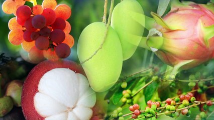 Sản xuất phim tự giới thiệu doanh nghiệp LONG HAI