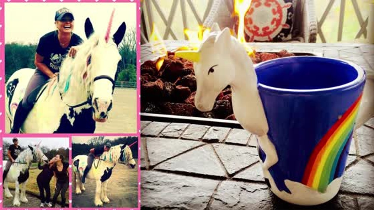 Miranda Lambert feiert ihren 32. Geburtstag auf einem Einhorn