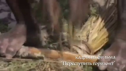 Почему каннибалы не едят людей? Виталий Сундаков