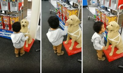 Küçük Çocuk Köpek Maketiyle Konuşmaya Çalıştı